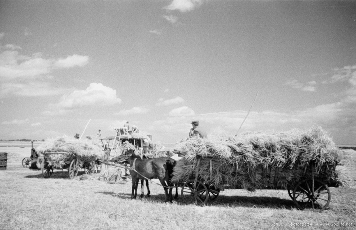 Khung canh cac lang que Ukraine thoi Lien Xo thap nien 1950-Hinh-15